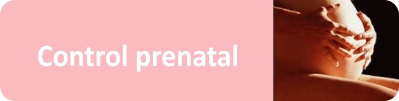 info control prenatal